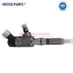 Common Rail Fuel Injector 0 445 110 844 Diesel Injector Assembly 0445 110 844