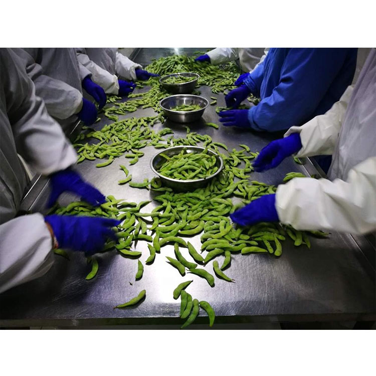 Certified IQF Frozen Edamame Steamed Grade A for Quick and Easy Snacks