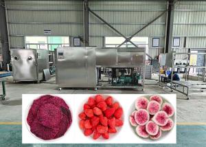 Quality 38KW Electric Heating Defrosting Lyophilizer Freeze Dryer Machine wholesale