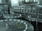 Rotary Multi-Head Bottle Filling Machine Used In Fruit Juice Production Line