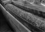 Fire And Flame Resistant Conveyor Belt