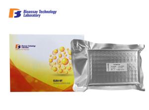 Quality Mouse Undercarboxylated Osteocalcin ELISA Kit Strong Sensitivity For Research wholesale