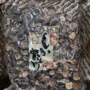 Quality Natural Bulk Dry Shiitake Mushroom Dried Shiitake Mushrooms Organic wholesale