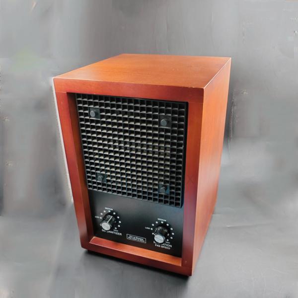 500mg/hr Home Ozone Machine Portable Air Ionizer Negative Ion Generator Air