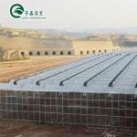 Multi-Span Agricultural Greenhouses Prefabricated Rain Shelter for Tomato