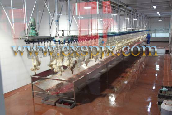 Chicken Duck Goose Bird Semi Auto Slaughter Machine For Poultry Meat Processing Plant