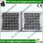 Pulp Moulding Mould and Finish Product
