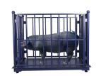 Anti Rust 3000KG Digital Livestock Scales With Fence