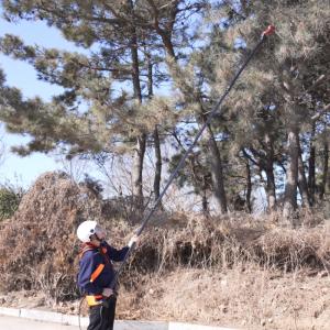 Quality 18FT Electric Extendable Tree Pruner For Orchard Management High Efficiency OEM wholesale