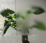 Clear Float Durable Tempered Glass , Silkscreen Frosted Tempered Shower Glass