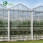 Polycarbonate Sheet Aquaponic Tomato Galvanized Steel Pipe For Prefabricated