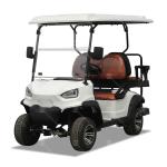 60V 40Mph 2 Seater Golf Cart Buggy Car Dealer For Garden Farm Club