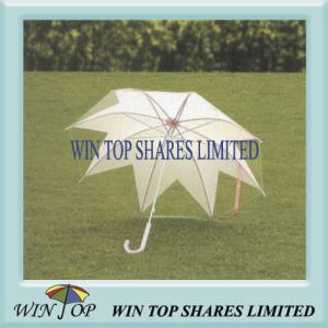 Quality 23&quot; Auto Straight Steel Frame EVA Umbrella (WTP021) wholesale