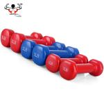 Women Power Training Fitness Equipment Dumbbells Customized Color