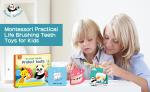 Stimulation Right Brain Training Flash Cards , Brush Teeth Preschool Learning