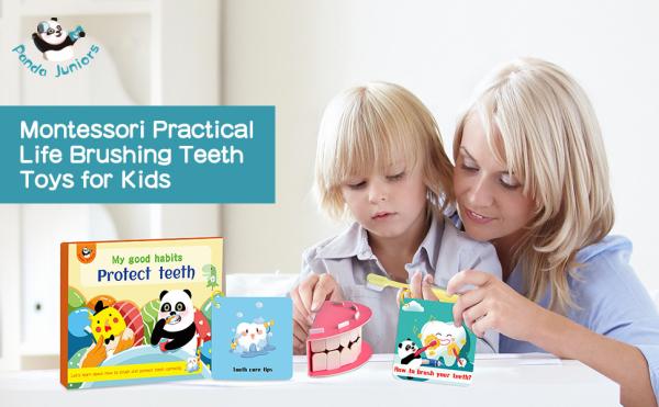 Stimulation Right Brain Training Flash Cards , Brush Teeth Preschool Learning