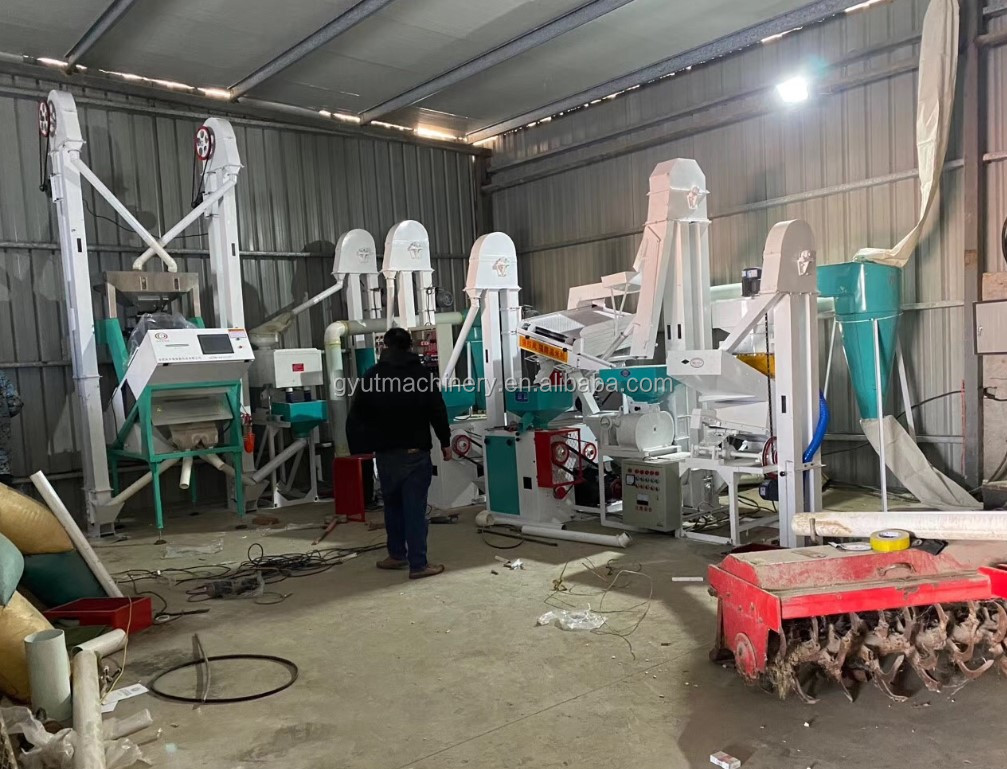 1300 KG Capacity Home Rice Water Ball Polisher for Super Whiter Rice Mill Machine