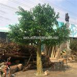 Large Fiberglass Material Artificial Ficus Tree Faux Banyan Plant For Outdoor