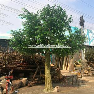 Quality Large Fiberglass Material Artificial Ficus Tree Faux Banyan Plant For Outdoor Decoration wholesale