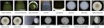 Visualization Camera Inspection Machine Aoi Inspection Equipment For Paper