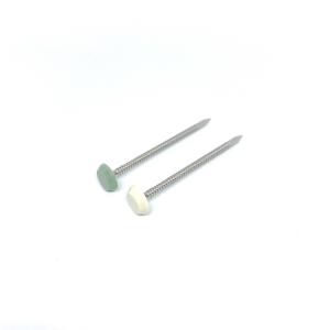Quality Stainless Steel Maintenance Free Plastic Headed Nails Nylon PA6 50MM Length wholesale