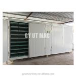 500kg/day Capacity Sprout Production Machines for Fast Manufacturing Plant