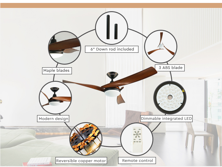 ceiling fan