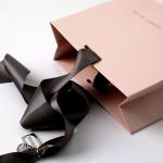Commercial Luxury Shopping Gift Paper Bag with Custom Uniquecolour Printing