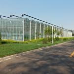 3mm 4mm Tomato Venlo Portable Glass Greenhouse Roof And Side Ventilation Control