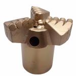 PDC No Core Drill Bit 1308 Cutter Tips for Core Drilling 3 Wings 133 mm Diamond
