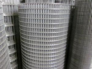 Quality Electric Welded Steel Wire Mesh / 6.4mm×6.4mm Cold Rolled Steel Mesh wholesale