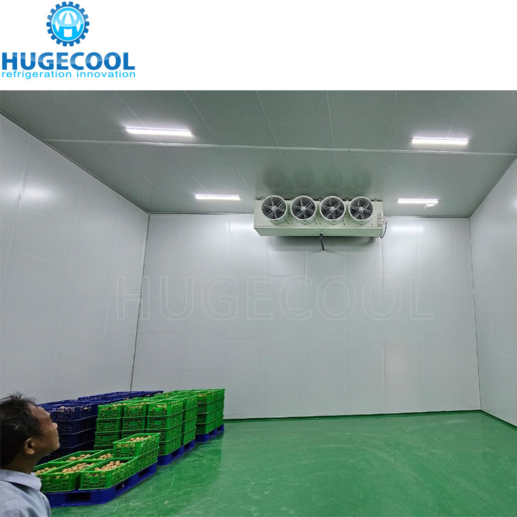 Customized new cold storage for frozen meat and seafood