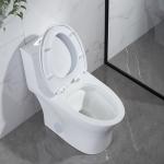 Glazed Ceramic Siphonic Dual Flush One Piece Toilet 12 Inch Rough In