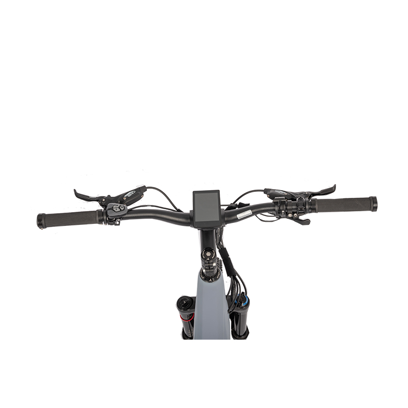 Kenda 700*45C Wheel Size Mountain Bike Electric Bicycle City Design Bike for Men