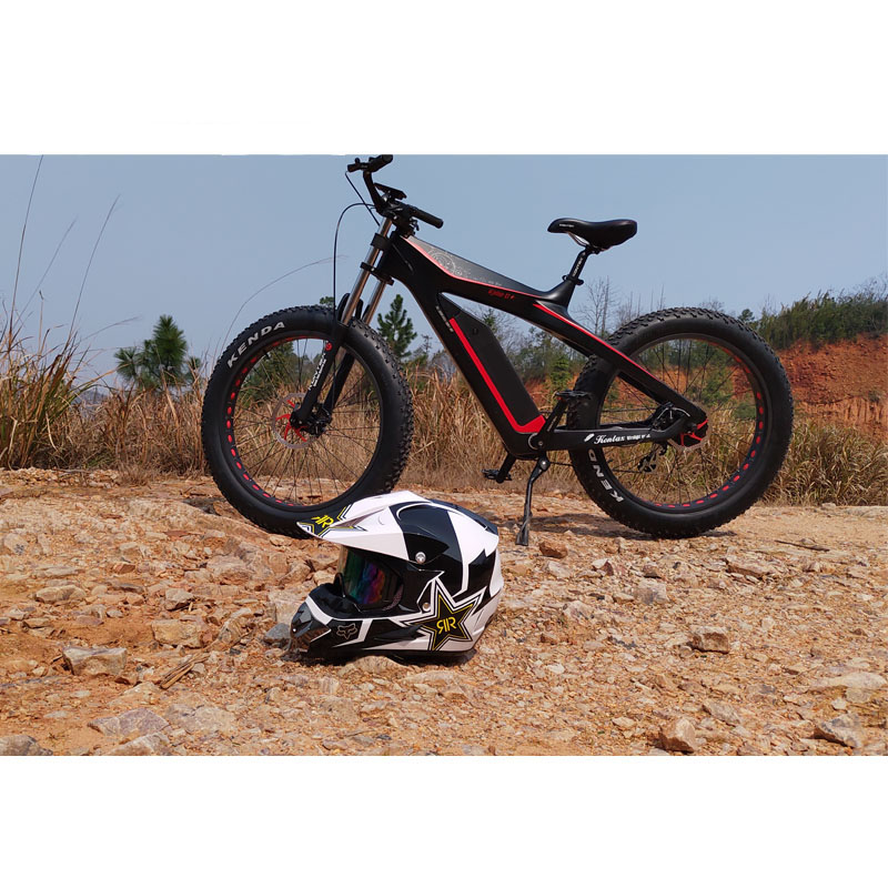 48V 750W Bafang Rear Hub Motor Electric Bicycle for Mountain Riding on 26 Inch Wheel