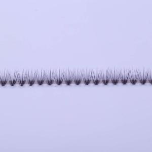 Quality Short Stem 15mm 10D Volume Lash Extensions Nature Long wholesale