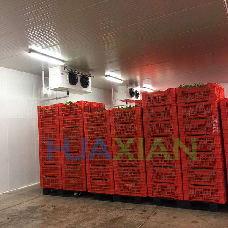 12 Celcius Walk in Freezer Chiller/Cool/Cold Storage Room Warehouse for Fresh Mango/Banana