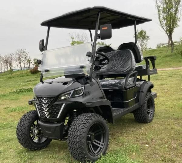 Brand New Lead Batteries EV Golf Cart Street Legal CE Approved Electric Golf