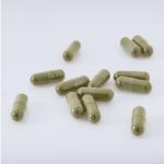 China NJP-1200C 100% Pure Moringa Powder Capsule Filling Machine Fully Automatic