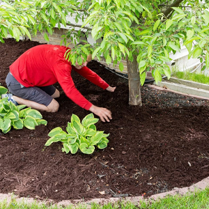 PP Woven Geotextile Weed Control Barrier Landscape Fabric for Ground Cover Width 1-6m