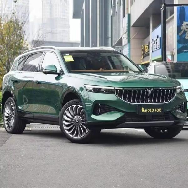 Max Speed 200 Km/H Voyah Free 2024 2023 Energy 5-Door 5-Seat Large SUV Hybrid