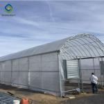 33ft Pe Film Skeleton Dustproof Single Tunnel Greenhouse