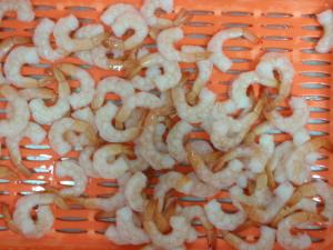 Quality Vannamei Shrimp Fresh Frozen Seafood Rich Magnesium And Calcium Phosphorus wholesale