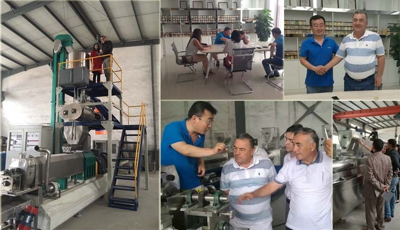 Multifunctional Extruder Corn Maize Flakes Breakfast Cereals Machine Production Line