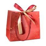 Offset Printing Custom Paper Gift Bags Gift Shopping Bag With Handle And Ribbon