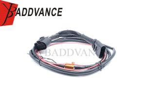 Quality Factory Direct OEM ODM 6 Pin Male Female Pioneer Water Resistant Wire Harness For VW wholesale