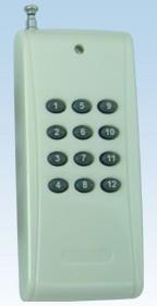 Quality Wireless Remote Control twelve button wholesale