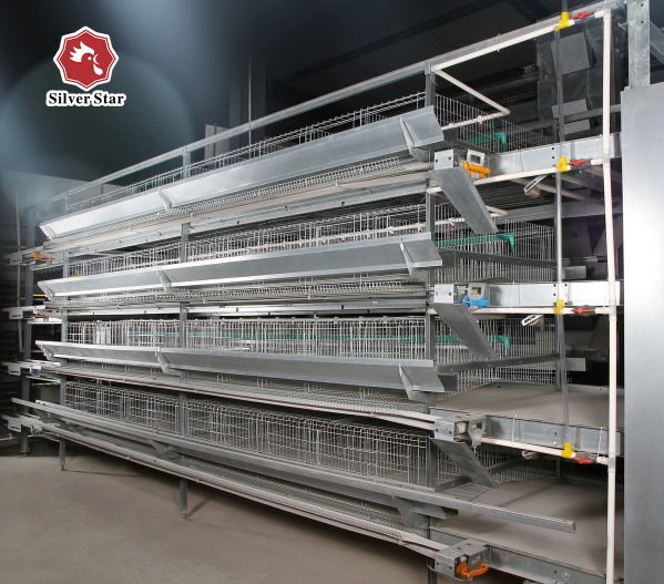 Automatic Egg Layer Chicken Battery Cage 3 Tiers 4 Tiers H Type Poultry Feeding Equipment
