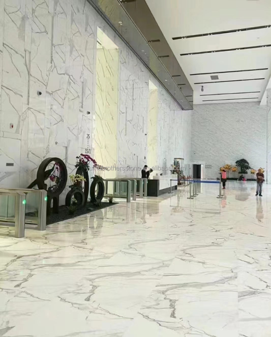 Home Decor Modern Fish Belly White Marble Stone Slabs for Living Room and Floor Tiles