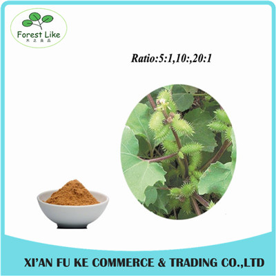 Low Price Siberian Cocklebur Fruit Extract Powder 5:1 10:1